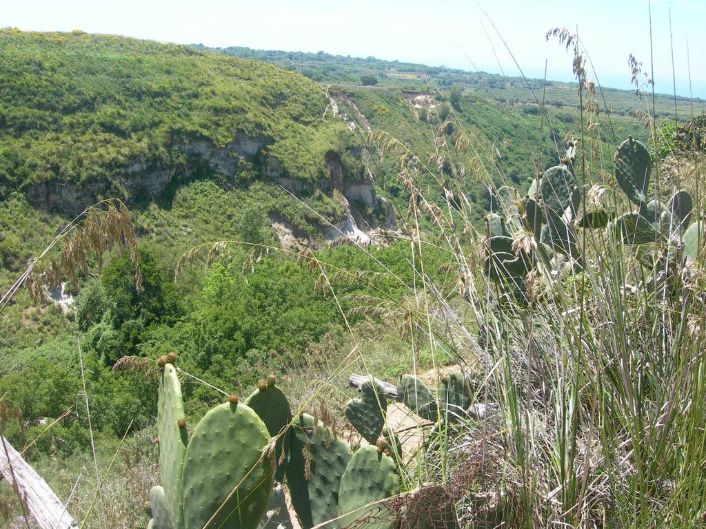 Azienda Agrituristica Carida Zaccanopoli Buitenkant foto